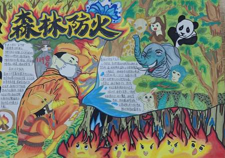 “森林防火”手抄报一等奖作品欣赏（9张）
